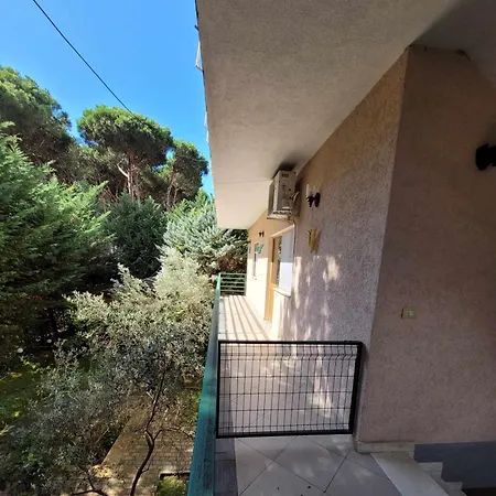 Le Bonheur En Albanie *